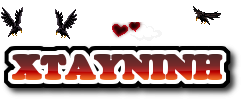 XTAYNINH 671